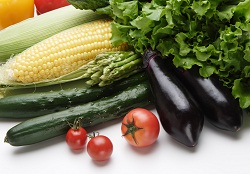 体温を下げる夏野菜